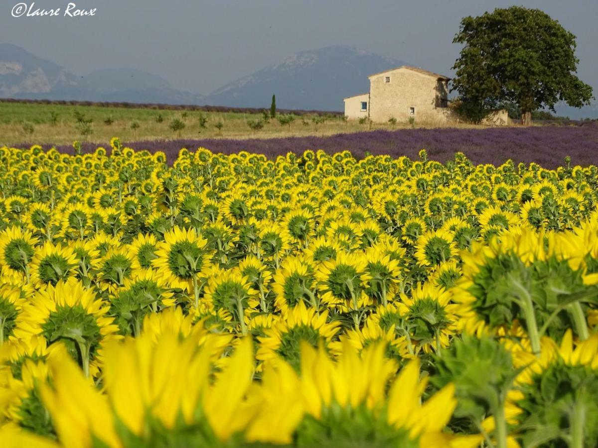 Les Secrets Du Mistral Bed & Breakfast Valensole Exterior foto